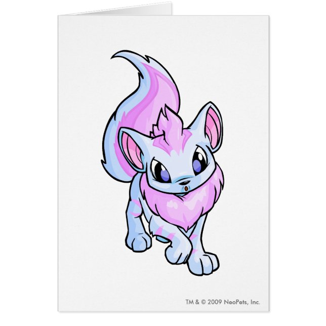 Xweetok Striped (Voorkant)