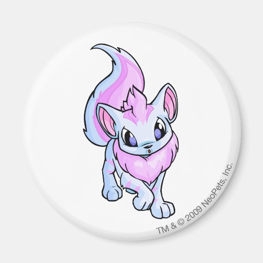 Xweetok Striped Magneet (Voorkant)