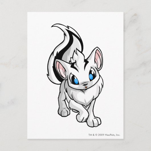 Xweetok White Briefkaart (Voorkant)