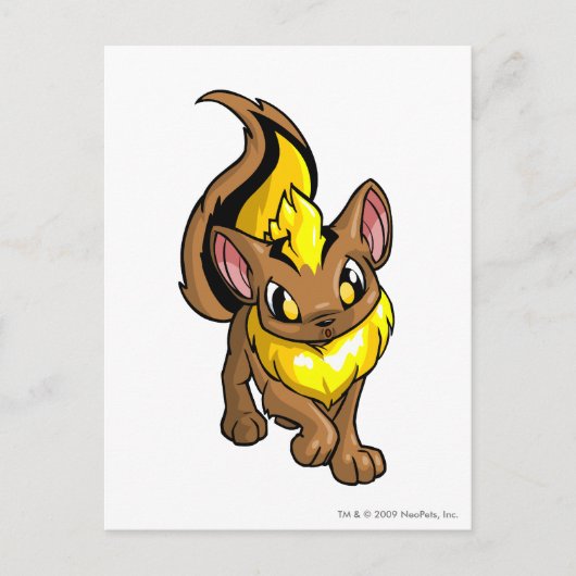 Xweetok Yellow Briefkaart (Voorkant)