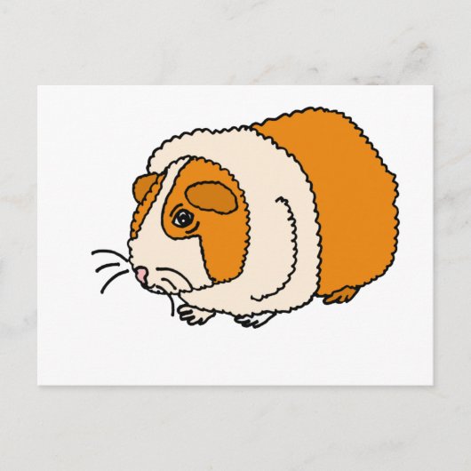 XX- Cute Guinea Pig Cartoon Briefkaart (Voorkant)