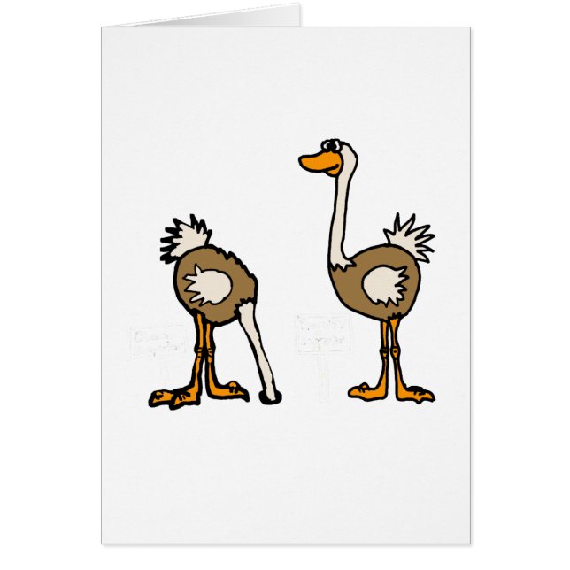 XX- Ostrips in de zand (Voorkant)