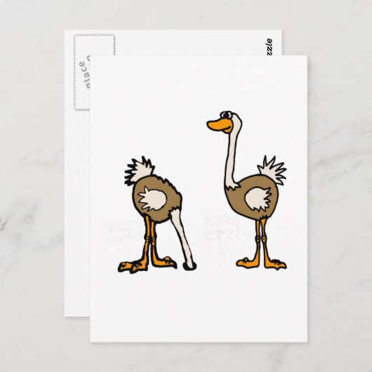 XX- Ostrips in de zand Briefkaart (Voorkant / Achterkant)