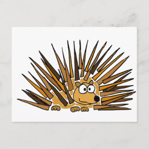 XX- Porcupine Art Cartoon Briefkaart