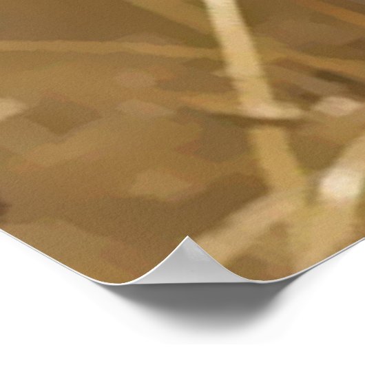 XXL "SUNKISSED" POSTER 60 x 40" (Hoek)