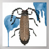 Xylobanus Japonicus Poster (Voorkant)