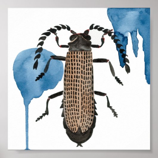 Xylobanus Japonicus Poster (Voorkant)