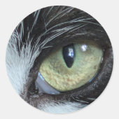 Xylo's Oog Stickers (Voorkant)