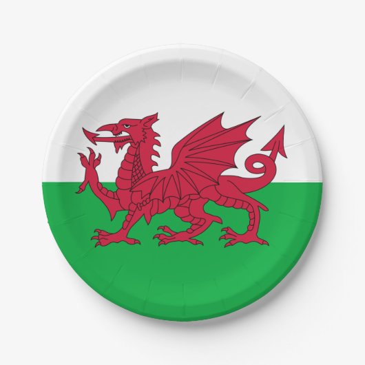 Y Ddraig Goch: Welsh Flag Paper Party Bord (Voorkant)