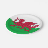 Y Ddraig Goch: Welsh Flag Paper Party Bord (Gekanteld)