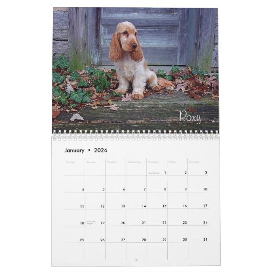 Y-Knot English Cocker Spaniel Calendar Kalender (Jan 2026)