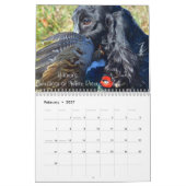 Y-Knot English Cocker Spaniel Calendar Kalender (Feb 2027)