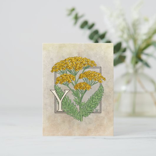 Y voor Yarrow Flower Alphabet Briefkaart (Staand voorkant)