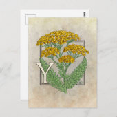 Y voor Yarrow Flower Alphabet Briefkaart (Voorkant / Achterkant)