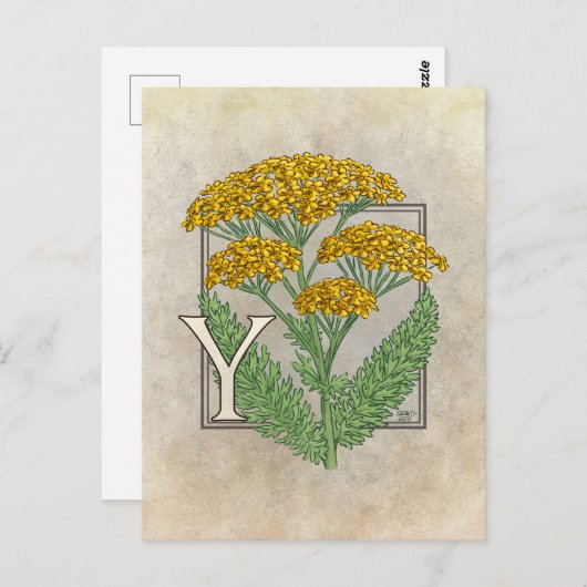 Y voor Yarrow Flower Alphabet Briefkaart (Voorkant / Achterkant)
