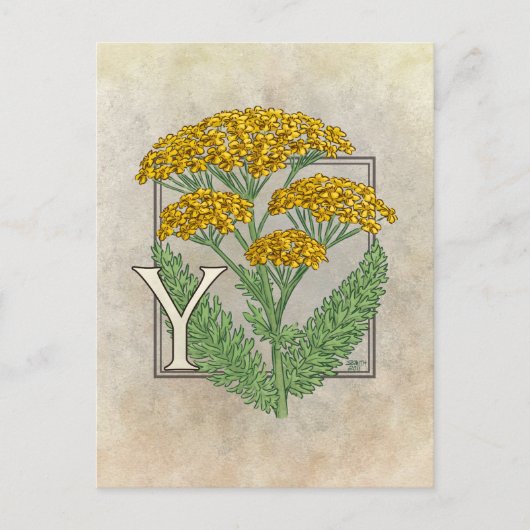 Y voor Yarrow Flower Alphabet Briefkaart (Voorkant)