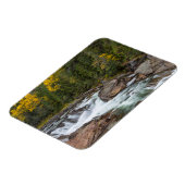 Yaak-Herfsten in het najaar van de Nationale Kiesr Magneet (Linkerzijde)