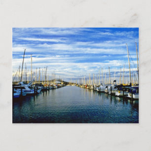 Yacht Club, Auckland Harbour, Noordeiland Briefkaart