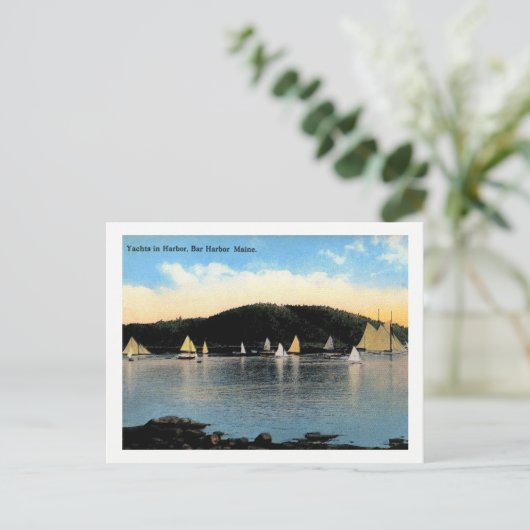 Yachts, Bar Harbor, Maine, Briefkaart (Staand voorkant)