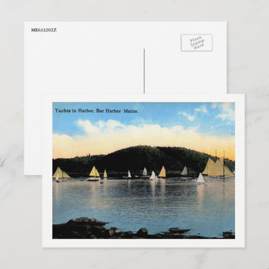Yachts, Bar Harbor, Maine,  Briefkaart (Voorkant / Achterkant)