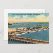 , Yachts Country Causeway, Miami, Florida Briefkaart (Voorkant / Achterkant)
