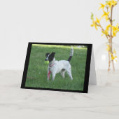 Yahtzee de hond met het Wenskaart van de Kol Kaart (Gele Bloem)