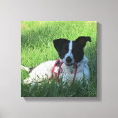 Yahtzee De Hond met Leash Canvas Print (Voorkant)