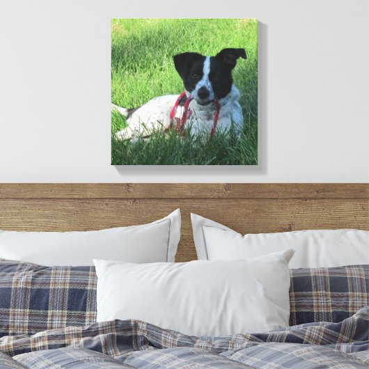 Yahtzee De Hond met Leash Canvas Print (Insitu (Slaapkamer))