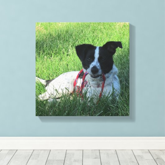 Yahtzee De Hond met Leash Canvas Print (Insitu (Houten vloer))