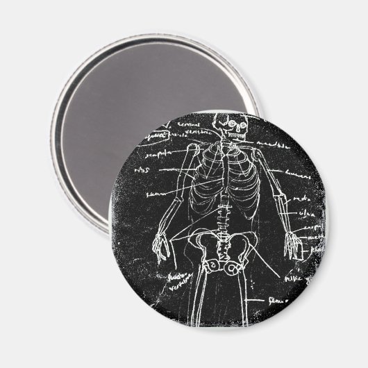 yaie tokyo human skeleton anatomy magneet (Voorkant / Achterkant)