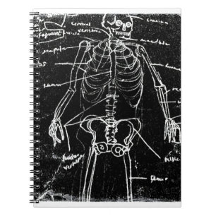 yaie tokyo human skeleton anatomy notitieboek