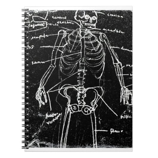 yaie tokyo human skeleton anatomy notitieboek (Voorkant)