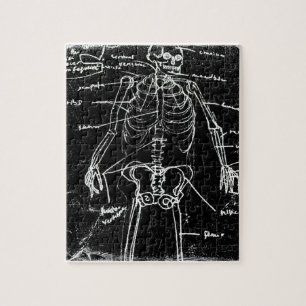 yaie Tokyo menselijke skeletanatomie Legpuzzel
