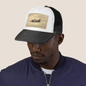 Yak 11 in vlucht trucker pet (In situ)