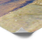 Yak Bos Grunniens bij het meer van Yamdrok Tibet Poster (Hoek)