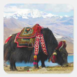 Yak Bos Grunniens bij het meer van Yamdrok Tibet Vierkante Sticker