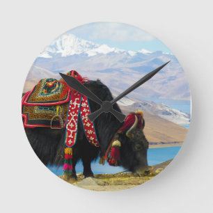 Yak Bos grunniens Bos mutus bij Yamdrok Lake Ronde Klok