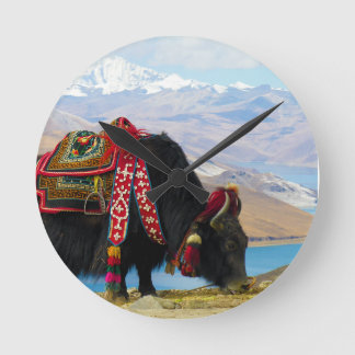 Yak Bos grunniens Bos mutus bij Yamdrok Lake Ronde Klok