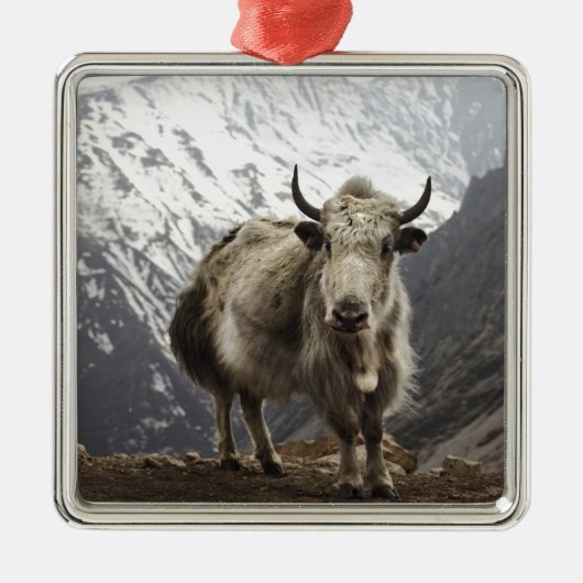 Yak in Nepal Metalen Ornament (Voorkant)