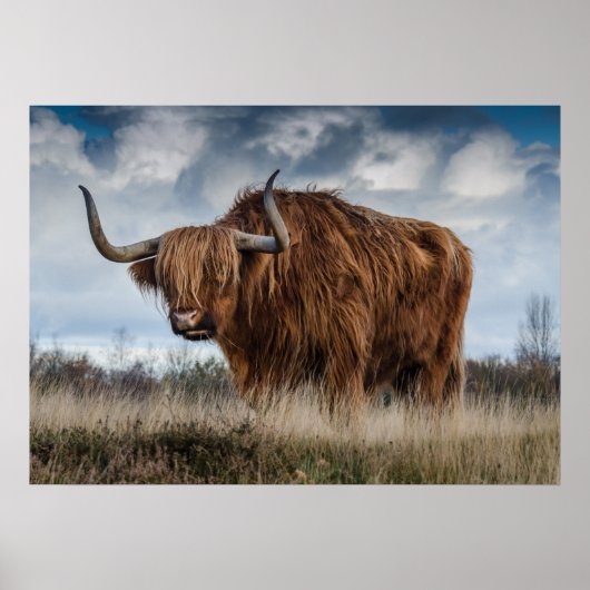 Yak Poster (Voorkant)