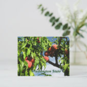 Yakima Valley Peaches, staat Washington. Briefkaart (Staand voorkant)