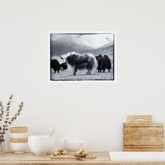 Yaks - De Himalaya Poster (Keuken)