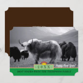 Yaks & Happy Nieuwjaar! Kaart/Himalaya, Yak Tibet Feestdagenkaart (Voorkant / Achterkant)