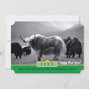 Yaks & Happy Nieuwjaar! Kaart/Himalaya, Yak Tibet Feestdagenkaart
