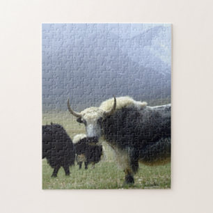 Yaks, Nomads of Himalayas - Tibet/Ladakh Legpuzzel