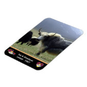 Yaks, Nomads of Himalayas - Tibet/Ladakh Magneet (Linkerzijde)