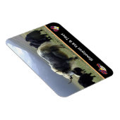 Yaks, Nomads of Himalayas - Tibet/Ladakh Yak Magneet (Rechterzijde)