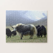Yaks, Nomads of Himalayas - Tibet/Yak Ladakh Legpuzzel (Horizontaal)