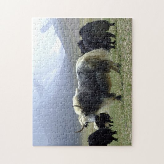 Yaks, Nomads of Himalayas - Tibet/Yak Ladakh Legpuzzel (Verticaal)