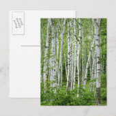 Yakumo-mura, prefectuur Nagano, centrale Honshu Briefkaart (Voorkant / Achterkant)